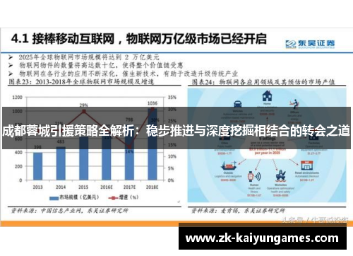 成都蓉城引援策略全解析：稳步推进与深度挖掘相结合的转会之道
