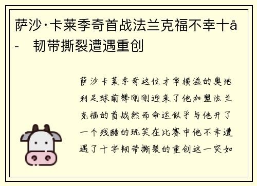 萨沙·卡莱季奇首战法兰克福不幸十字韧带撕裂遭遇重创 萨沙·卡莱季奇首战法兰克福不幸十字韧带撕裂遭遇重创